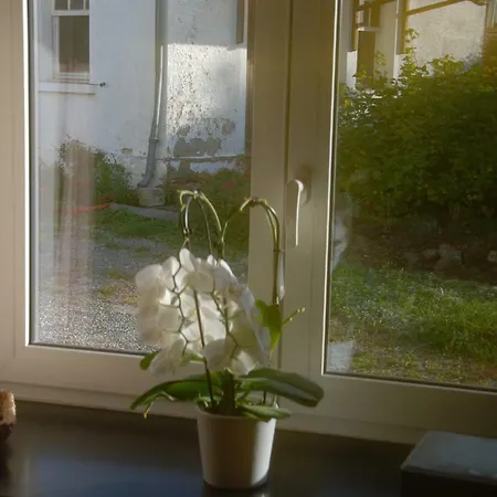 Les Essarts Hébergement de vacances Spa