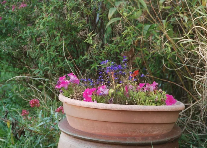 Les Essarts بيت للعطل